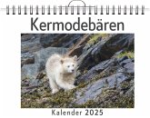 Kermodebären - (Wandkalender 2025, Kalender DIN A4 quer, Monatskalender im Querformat mit Kalendarium, das perfekte Geschenk) Kermodebären - (Wandkalender 2025, Kalender DIN A4 quer, Monatskalender im Querformat mit Kalendarium, das perfekte Geschenk)