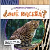 ¿Qué Nacerá? ¿Qué Nacerá?