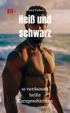 Heiß und schwarz (eBook, ePUB)