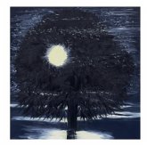 Ann Craven: Night Ann Craven: Night