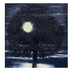 Cover Ann Craven: Night
