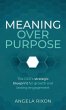 Meaning Over Purpose - Bild 1