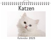 Katzen - (Wandkalender 2025, Kalender DIN A4 quer, Monatskalender im Querformat mit Kalendarium, das perfekte Geschenk) Katzen - (Wandkalender 2025, Kalender DIN A4 quer, Monatskalender im Querformat mit Kalendarium, das perfekte Geschenk)
