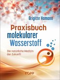 Praxisbuch molekularer Wasserstoff (eBook, ePUB) Praxisbuch molekularer Wasserstoff (eBook, ePUB)