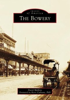 The Bowery - Mulkins, David