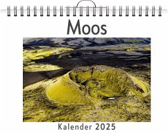 Moos - (Wandkalender 2025, Kalender DIN A4 quer, Monatskalender im Querformat mit Kalendarium, das perfekte Geschenk) - Fischer, Ava Moos - (Wandkalender 2025, Kalender DIN A4 quer, Monatskalender im Querformat mit Kalendarium, das perfekte Geschenk) - Fischer, Ava