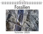 Fossilien - (Wandkalender 2025, Kalender DIN A4 quer, Monatskalender im Querformat mit Kalendarium, das perfekte Geschenk)