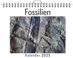 Fossilien - (Wandkalender 2025, Kalender DIN A4 quer, Monatskalender im Querformat mit Kalendarium, das perfekte Geschenk) - Schubert, Noah