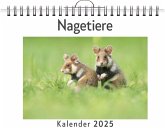 Nagetiere - (Wandkalender 2025, Kalender DIN A4 quer, Monatskalender im Querformat mit Kalendarium, das perfekte Geschenk)