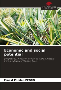 Cover Economic and social potential