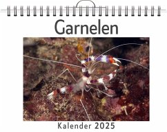 Garnelen - (Wandkalender 2025, Kalender DIN A4 quer, Monatskalender im Querformat mit Kalendarium, das perfekte Geschenk) - Schmidt, Lina