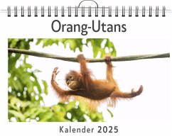 Orang-Utans - (Wandkalender 2025, Kalender DIN A4 quer, Monatskalender im Querformat mit Kalendarium, das perfekte Geschenk) - Braun, Lucy
