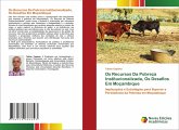 Os Recursos Da Pobreza Institucionalizada, Os Desafíos Em Moçambique