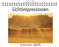 Lichtimpressionen - (Wandkalender 2025, Kalender DIN A4 quer, Monatskalender im Querformat mit Kalendarium, das perfekte Geschenk) - Werner, Samuel