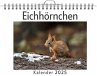 Eichhörnchen - (Wandkalender 2025,... - Bild 1