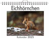 Eichhörnchen - (Wandkalender 2025, Kalender DIN A4 quer, Monatskalender im Querformat mit Kalendarium, das perfekte Geschenk)