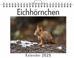 Eichhörnchen - (Wandkalender 2025, Kalender DIN A4 quer, Monatskalender im Querformat mit Kalendarium, das perfekte Geschenk) - Schmid, Ben