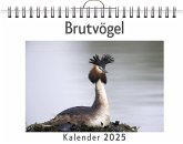 Brutvögel - (Wandkalender 2025, Kalender DIN A4 quer, Monatskalender im Querformat mit Kalendarium, das perfekte Geschenk) Brutvögel - (Wandkalender 2025, Kalender DIN A4 quer, Monatskalender im Querformat mit Kalendarium, das perfekte Geschenk)