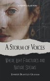 A Storm of Voices Where Light Fractures and Nature Speaks A Storm of Voices Where Light Fractures and Nature Speaks