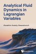 Analytical Fluid Dynamics in Lagrangian... - Bild 1