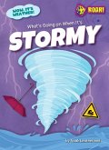 What's Going on When It's Stormy What's Going on When It's Stormy