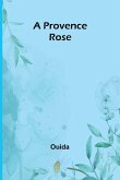 A Provence rose A Provence rose