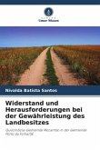Widerstand und Herausforderungen bei der Gewährleistung des Landbesitzes Widerstand und Herausforderungen bei der Gewährleistung des Landbesitzes