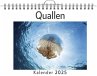 Quallen - (Wandkalender 2025, Kalender... - Bild 1