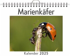 Marienkäfer - (Wandkalender 2025, Kalender DIN A4 quer, Monatskalender im Querformat mit Kalendarium, das perfekte Geschenk) - Schmitz, Sofia