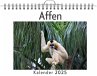 Affen - (Wandkalender 2025, Kalender... - Bild 1