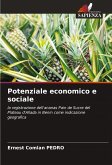 Potenziale economico e sociale Potenziale economico e sociale