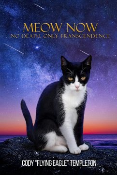Cover Meow Now