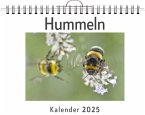 Hummeln - (Wandkalender 2025, Kalender DIN A4 quer, Monatskalender im Querformat mit Kalendarium, das perfekte Geschenk)