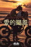 愛的颶風 (eBook, ePUB)