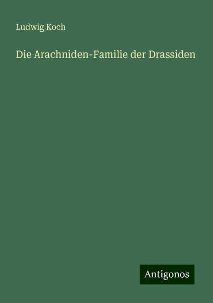 Die Arachniden-Familie der Drassiden