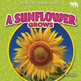 A Sunflower Grows A Sunflower Grows
