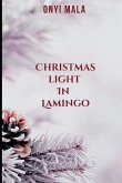 Christmas Light in Lamingo Christmas Light in Lamingo