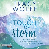 A Touch of Storm (MP3-Download) A Touch of Storm (MP3-Download)