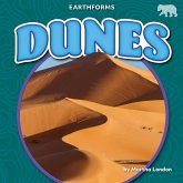 Dunes Dunes