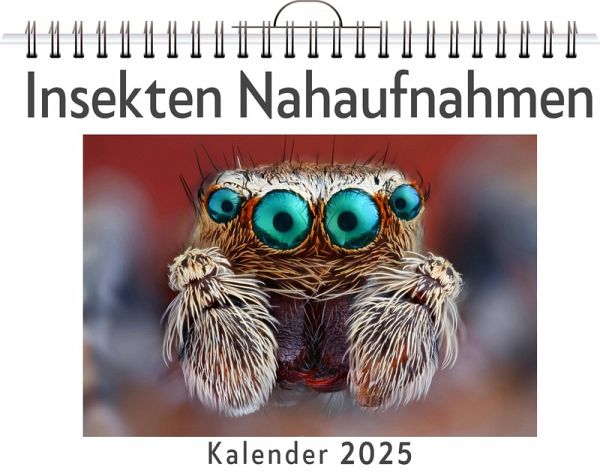 Insekten Nahaufnahmen - (Wandkalender 2025, Kalender DIN A4 quer, Monatskalender im Querformat mit Kalendarium, das perfekte Geschenk)