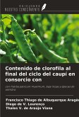 Contenido de clorofila al final del ciclo del caupí en consorcio con Contenido de clorofila al final del ciclo del caupí en consorcio con
