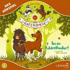 Die Haferhorde - So ein Fohlentheater! (Hörspiel zu Band 8) (MP3-Download)