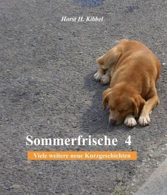 Cover Sommerfrische 4 (eBook, ePUB)