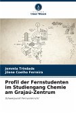 Profil der Fernstudenten im Studiengang Chemie am Grajaú-Zentrum