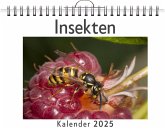 Insekten - (Wandkalender 2025, Kalender DIN A4 quer, Monatskalender im Querformat mit Kalendarium, das perfekte Geschenk) Insekten - (Wandkalender 2025, Kalender DIN A4 quer, Monatskalender im Querformat mit Kalendarium, das perfekte Geschenk)