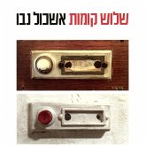 שלוש קומות (MP3-Download) שלוש קומות (MP3-Download)