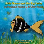 LITTLE MEENA AND THE BIG SWIM