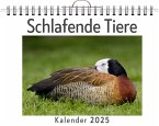 Schlafende Tiere - (Wandkalender 2025, Kalender DIN A4 quer, Monatskalender im Querformat mit Kalendarium, das perfekte Geschenk)