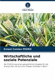 Wirtschaftliche und soziale Potenziale Wirtschaftliche und soziale Potenziale