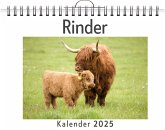 Rinder - (Wandkalender 2025, Kalender DIN A4 quer, Monatskalender im Querformat mit Kalendarium, das perfekte Geschenk) Rinder - (Wandkalender 2025, Kalender DIN A4 quer, Monatskalender im Querformat mit Kalendarium, das perfekte Geschenk)